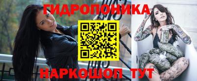 крисы Апшеронск